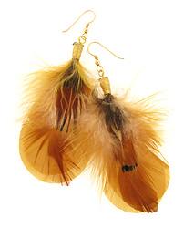Gold and Natural Feather Earrings