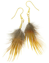 Golden Pheasant Feather Earrings