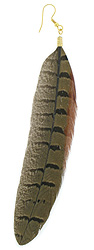 Long Single Pheasant Feather Earring