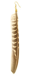 Long Single Striped Feather Earring
