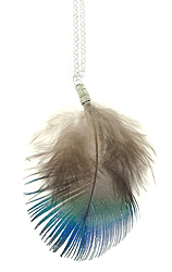 Blue Peacock Feather Necklace with Sterling